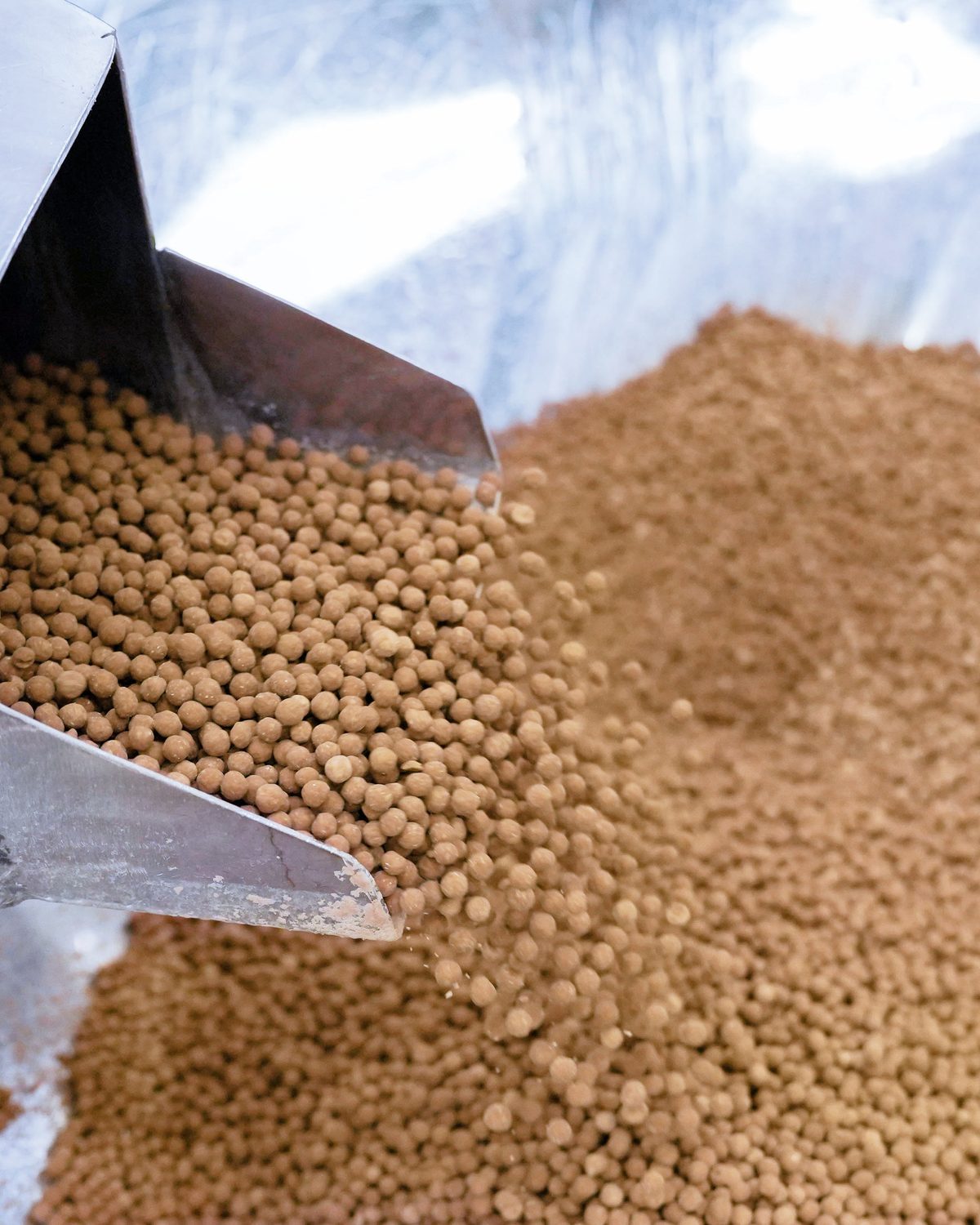 Dry tapioca pearls pouring from a stainless steel chute.
